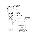 komponenty-potrubneho-filtra-na-studenu-vodu-ecosoft-eco-fh34.webp